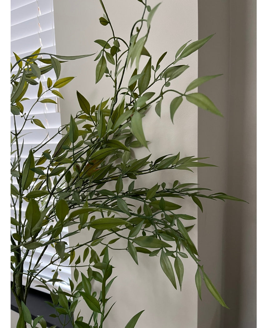Kunstplant Ruscus 120 cm